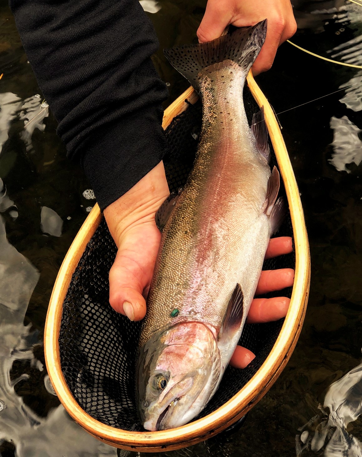 Aroostook River offers prime trout fishing - The County